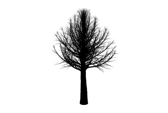 Black Tree Illustration