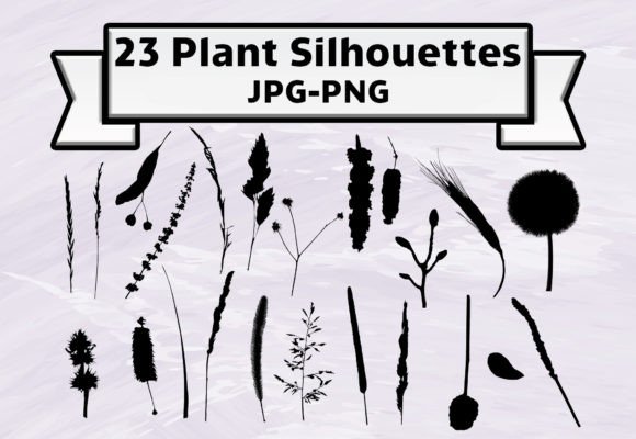 Botanical Plant Illustration Art Set