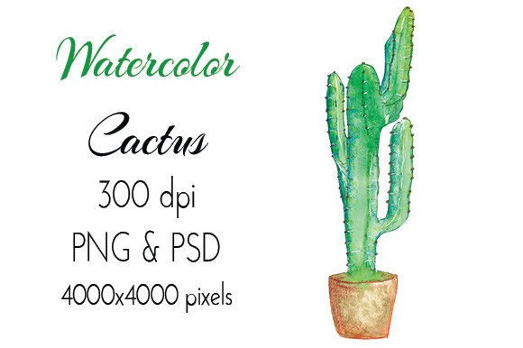 Cactus Watercolor Hand Drawn PNG PSD