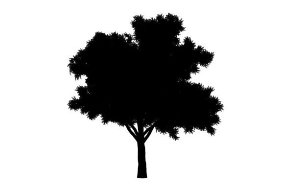Evergreen Tree Clipart for Creative Projects