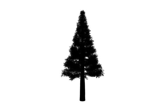 Fir Tree Artwork: A Versatile Element for Creative and Professional Projects
