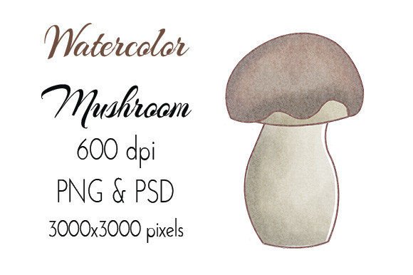 Mushroom Watercolor Hand Drawn: A Unique Artistic Resource for Creative Projects