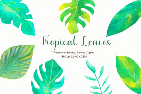 Tropical Leaves Clipart: A Versatile Design Asset for Creative Professionals
